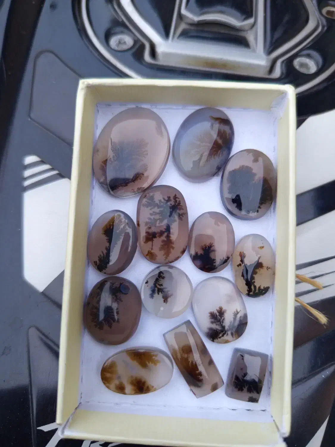 نگین انگشتر شجر قائن|جواهرات|آستانه اشرفیه, |دیوار