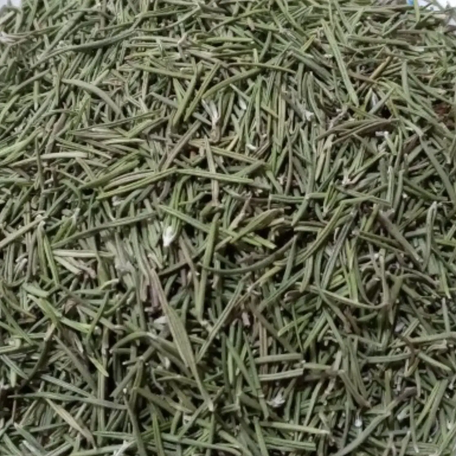 گیاه رزماری|خوردنی و آشامیدنی|اصفهان, خواجو|دیوار