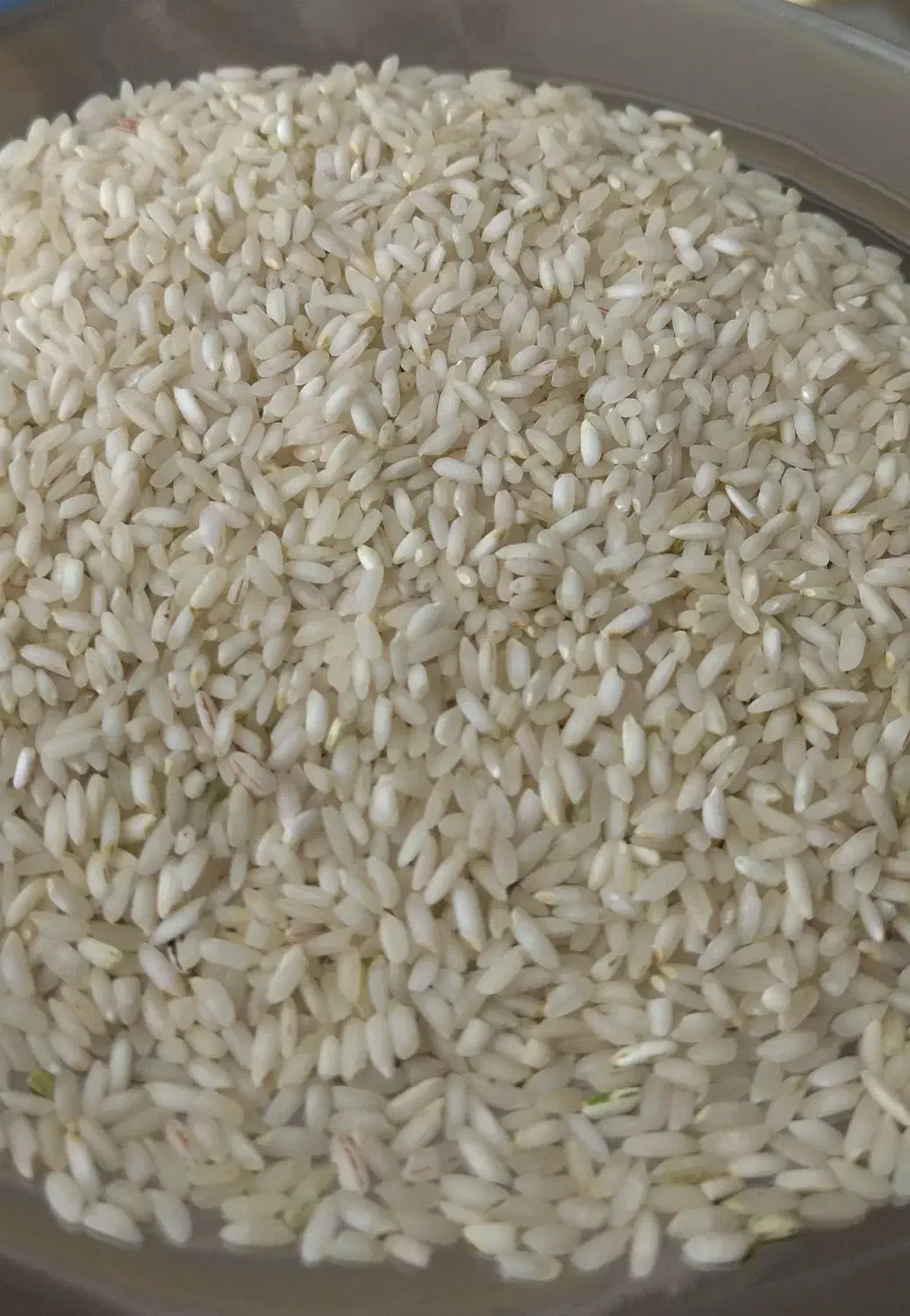 برنج عنبربو شوشتر درجه1 نیم دانه برنج|خوردنی و آشامیدنی|شیراز, تندگویان|دیوار