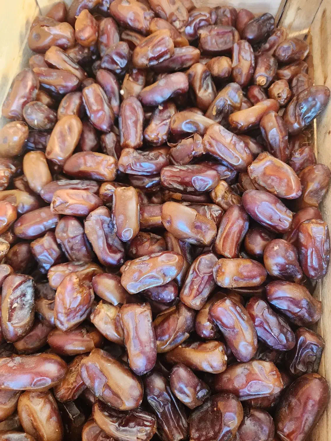 استخدام کارگر خانم جهت بسته بندی خرما|استخدام صنعتی، فنی، مهندسی|شادگان, |دیوار