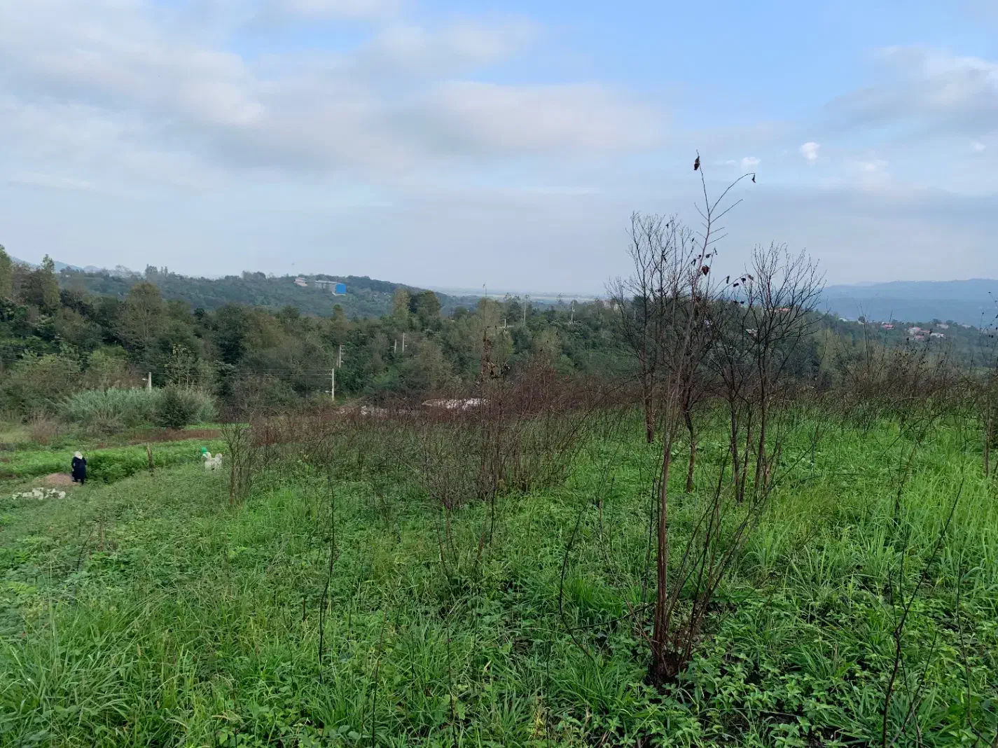 بهشت|فروش زمین و ملک کلنگی|اطاقور, |دیوار