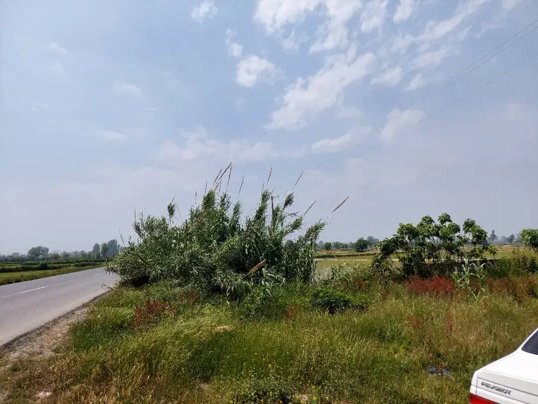 زمین صنعتی بر خیابان اصلی تهاتر دارد|فروش دفتر صنعتی، کشاورزی، تجاری|آمل, |دیوار