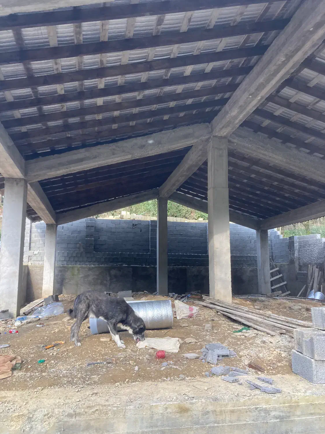 پیمانکاری ساختمان ویلا سازی و استخر در فضای باز|خدمات پیشه و مهارت|احمدسرگوراب, |دیوار