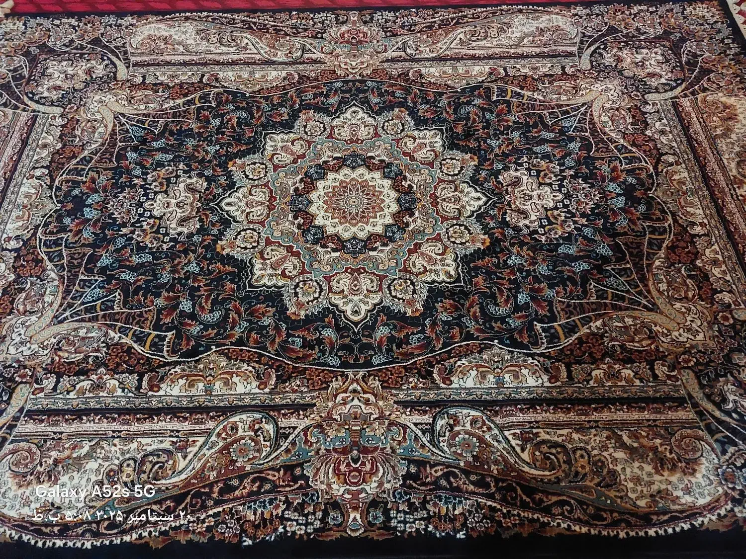 باخریدارواقعی کنارمیام|فرش|آبسرد, |دیوار
