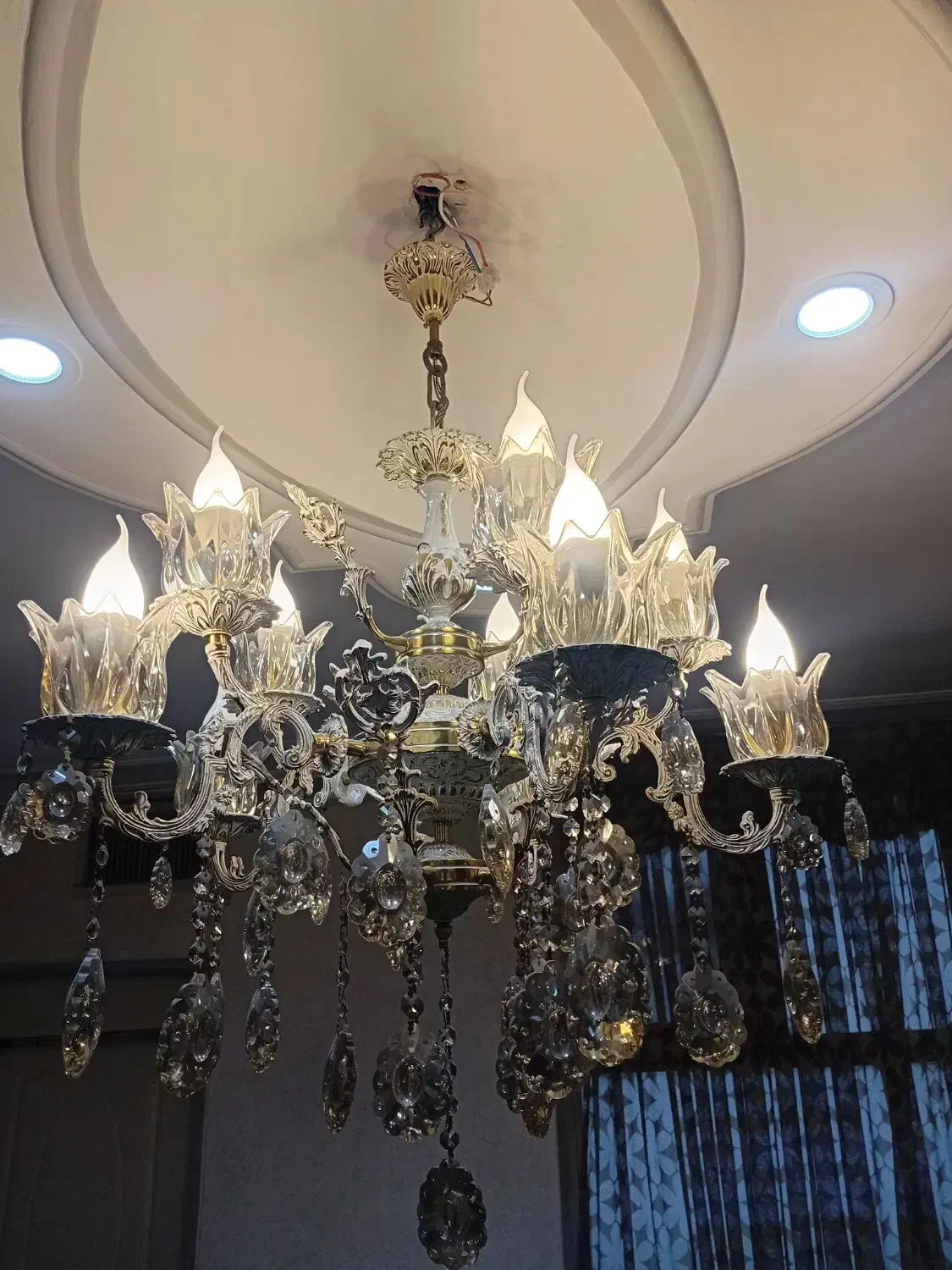 فروش یک عددلوسترسالم لامپ سالم لاله هاسالم|لوستر و چراغ آویز|تهران, شکوفه (عبدل آباد)|دیوار