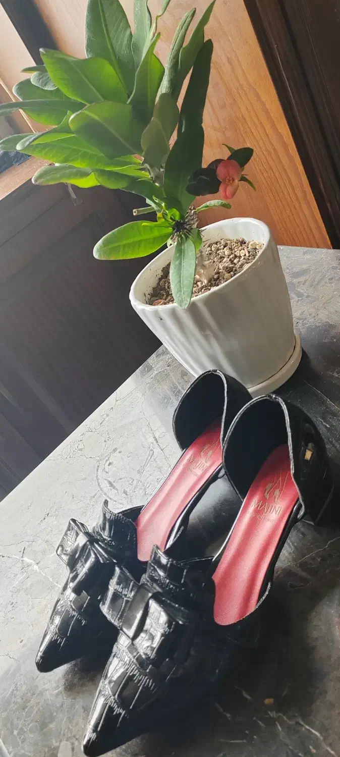 کفش زنانه سایز39|کیف، کفش، کمربند|طرقبه, |دیوار