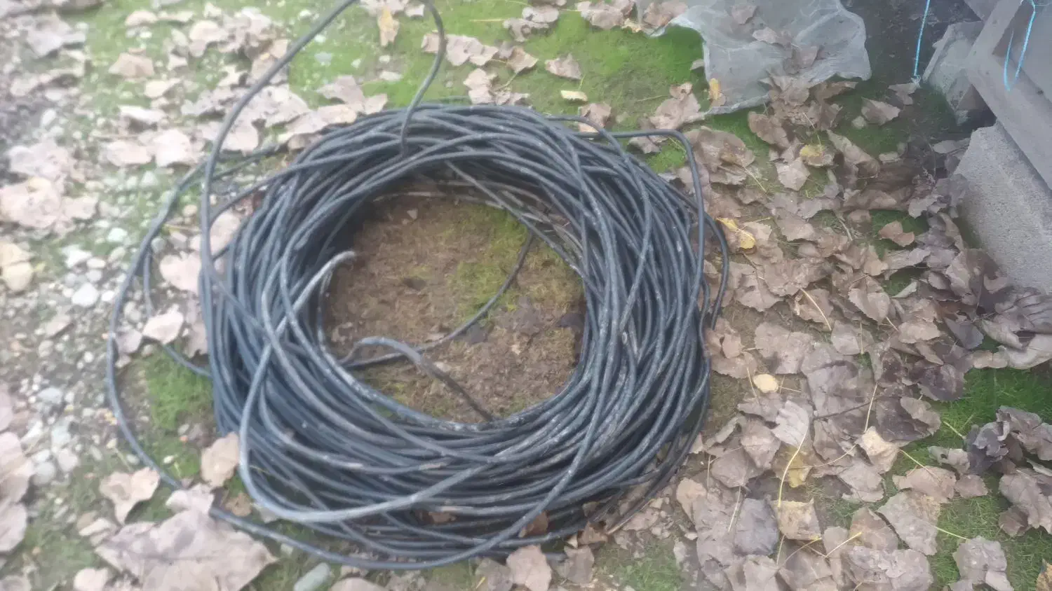 کابل ۲در۶ مفتولی|مصالح و تجهیزات ساختمان|اسالم, |دیوار