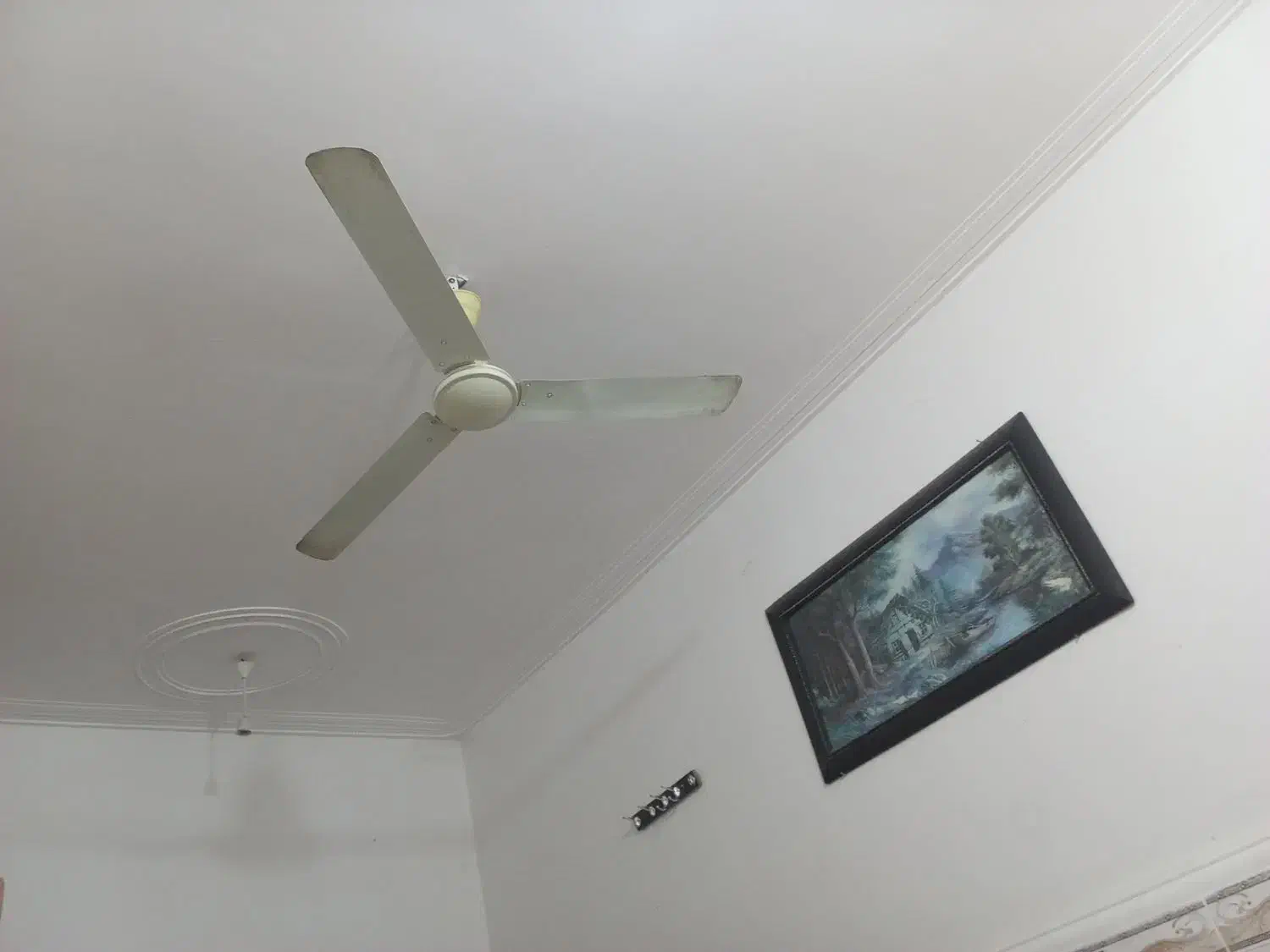 خونه|فروش خانه و ویلا|برازجان, |دیوار