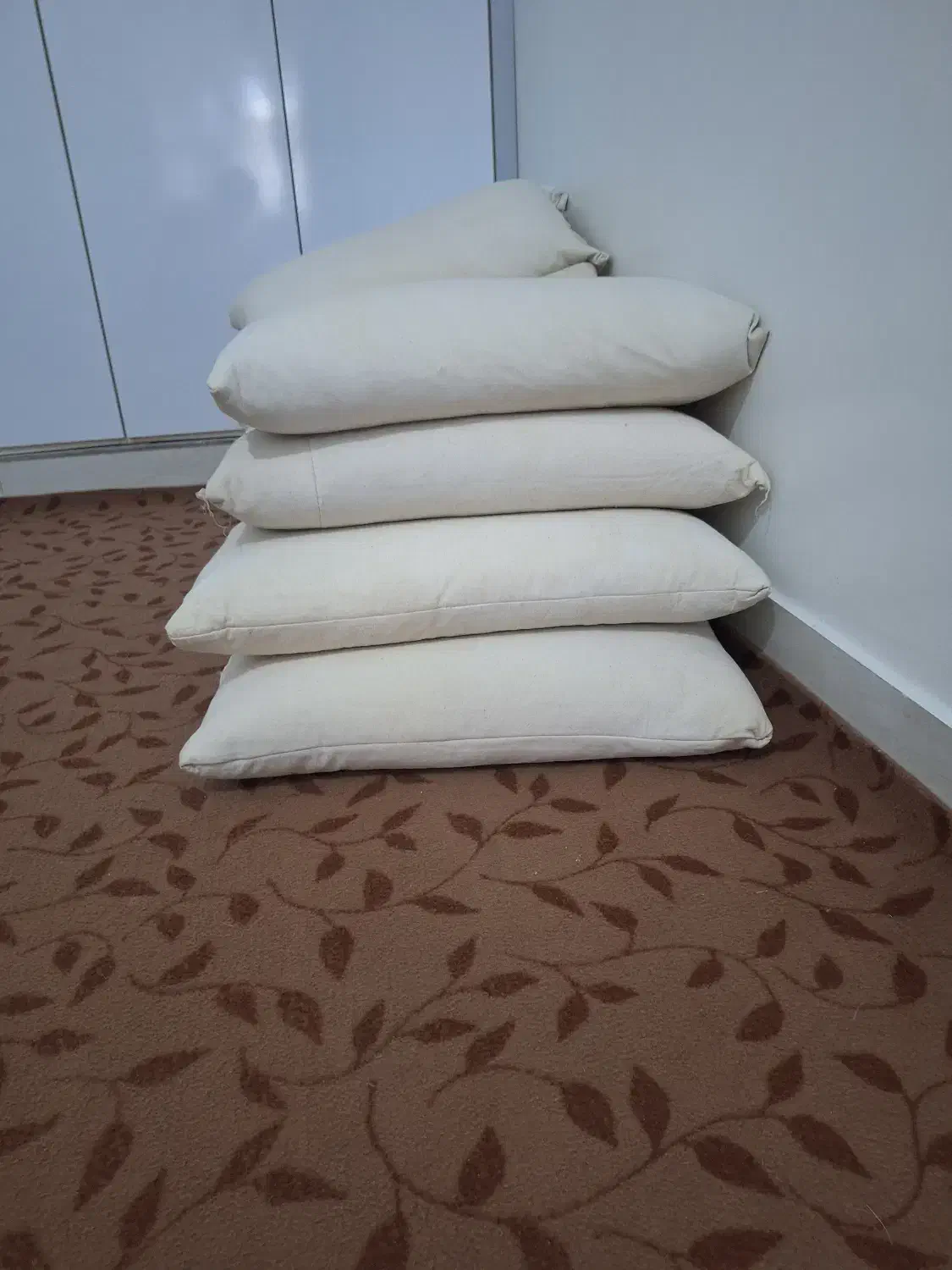 بالشت پر|رختخواب، بالش، پتو|ایذه, |دیوار