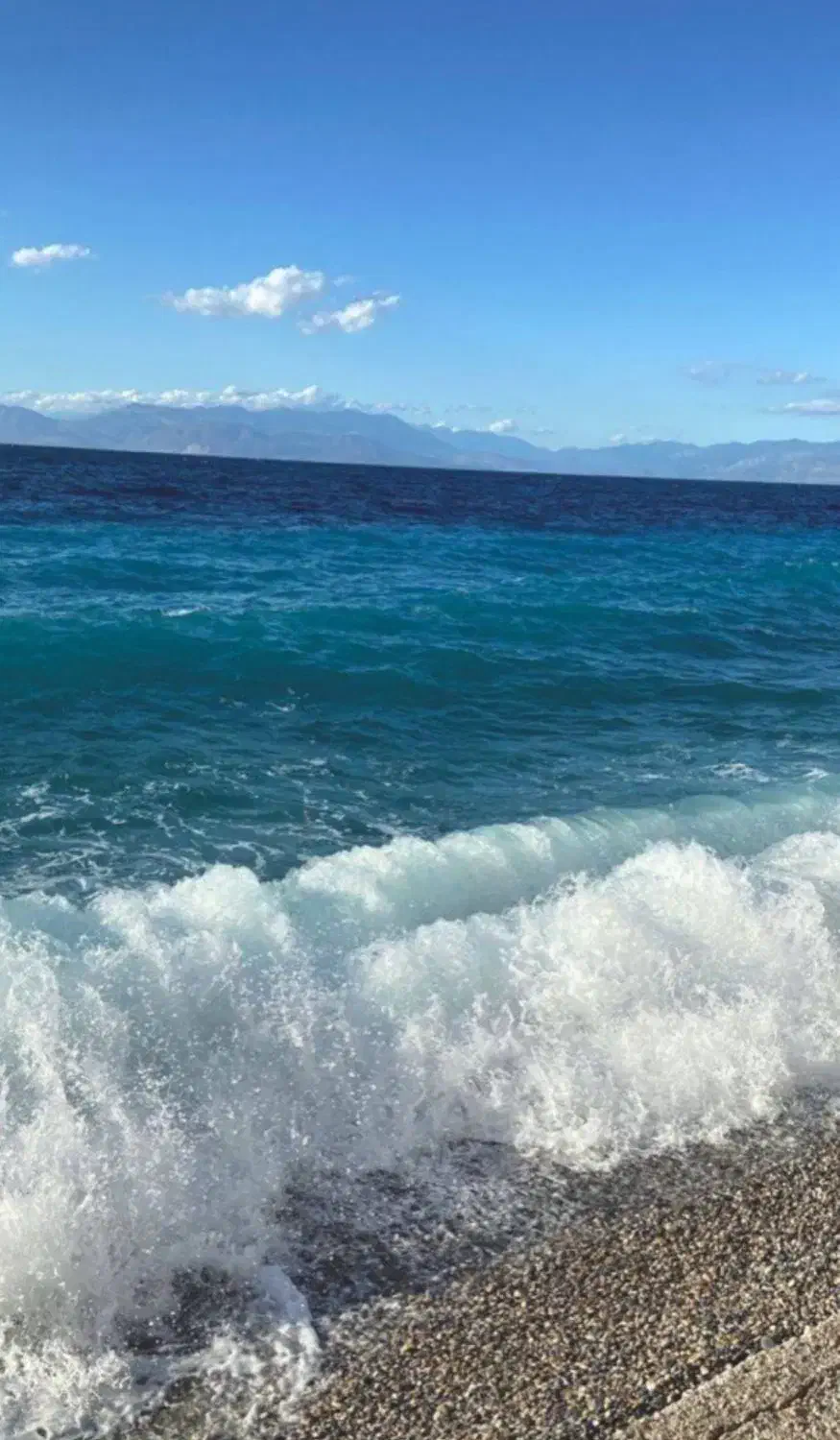 قالیشویی دریا 37239090|خدمات نظافت|اسفراین, |دیوار