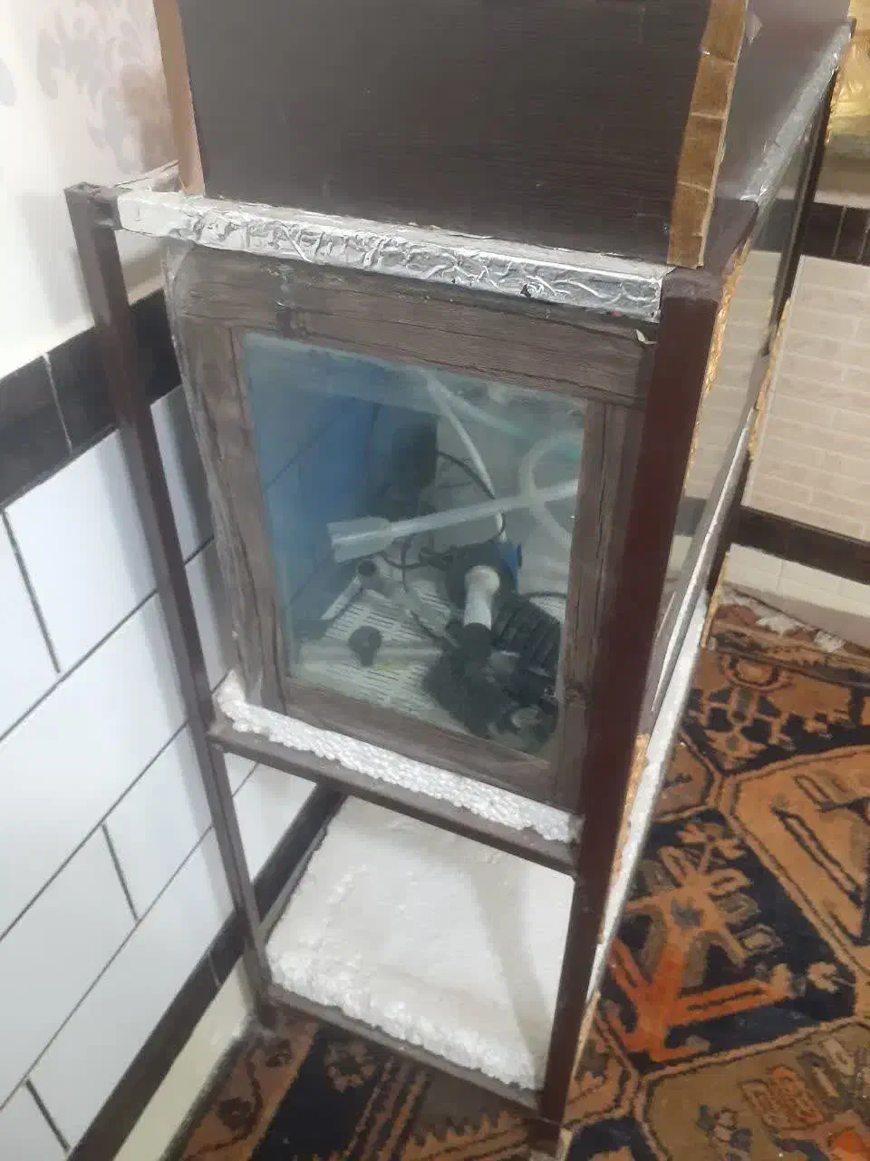 آکواریوم|ماهی|شوشتر, |دیوار