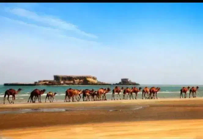 گشت جزیره با ماشین پارس تیو فایو|تور و چارتر|قشم, |دیوار