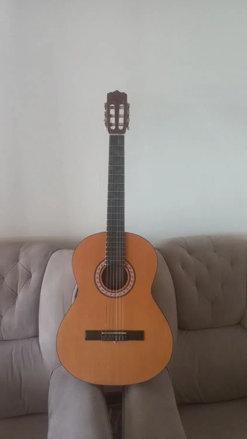 گیتار پارسی مدل m2|گیتار، بیس، امپلیفایر|محمدشهر, شهرک پیام (مهرالبرز)|دیوار