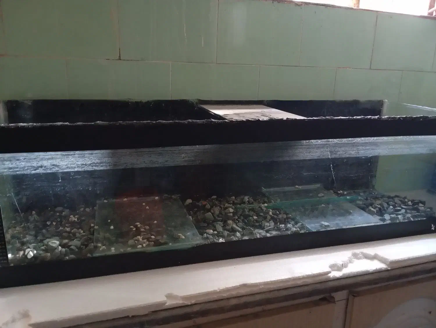 آکواریوم|ماهی|کاشمر, |دیوار