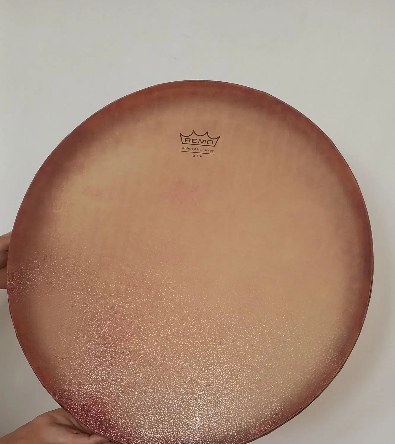 دف نوازی|سازهای سنتی|تربت‌حیدریه, باغ سلطانی|دیوار