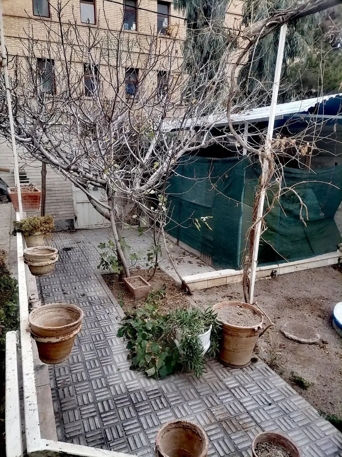 اجاره اتاق همراه حیاط میدان سعدی|اجارهٔ کوتاهمدت آپارتمان و سوئیت|سمنان, |دیوار