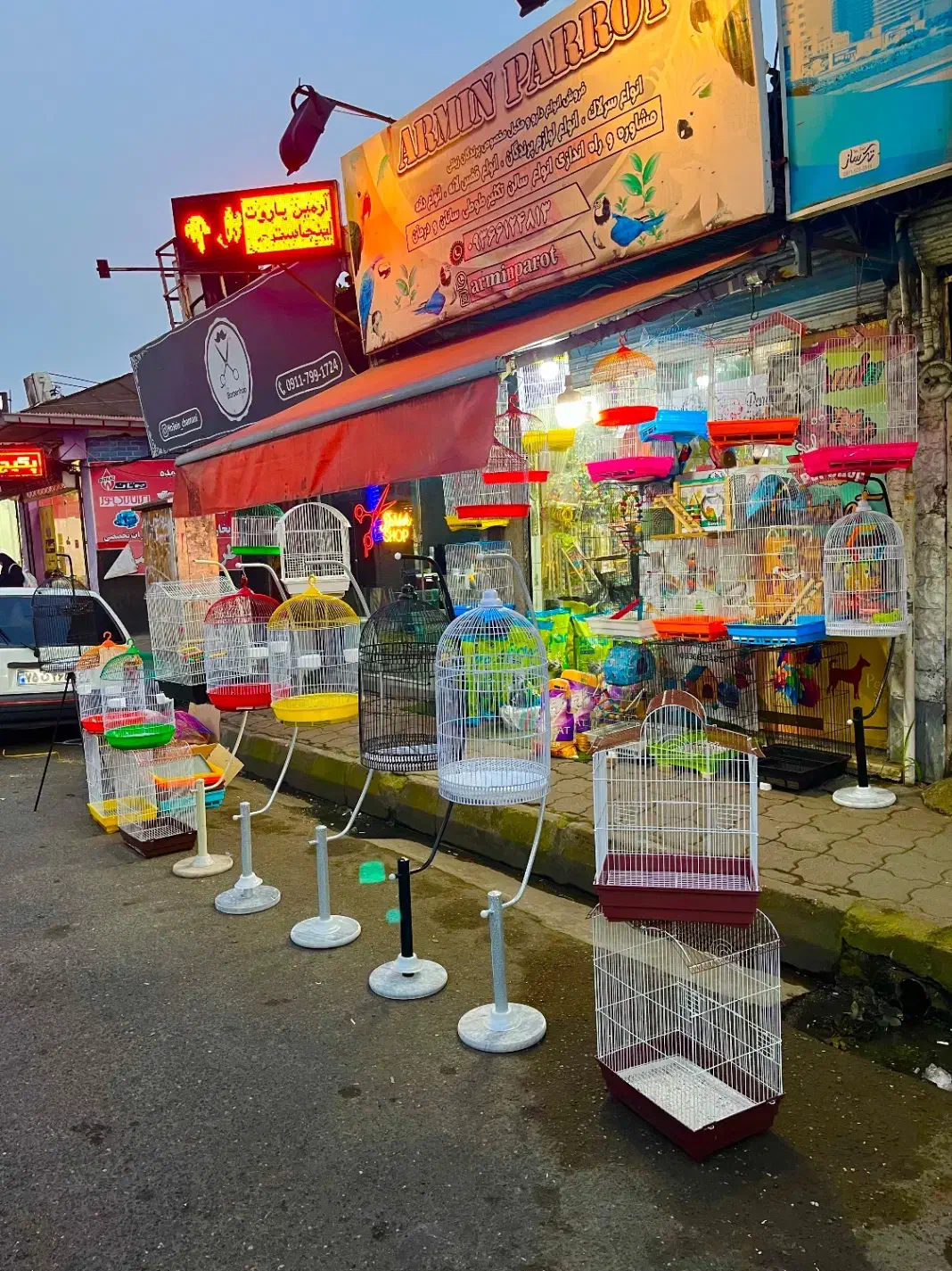 قفس|لوازم جانبی حیوانات|رشت, شهریاران|دیوار