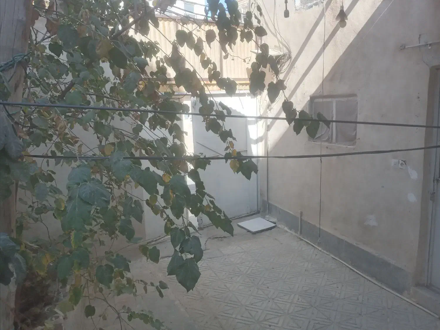 اجاره منزل|اجارهٔ خانه و ویلا|قم, صفاشهر|دیوار