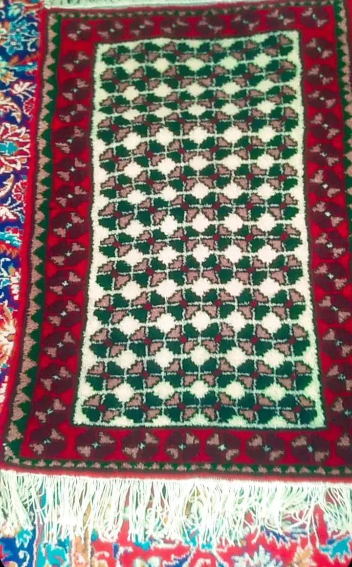 فرش دست بافت|فرش|ضیاء آباد, |دیوار