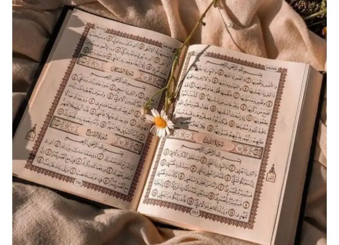ختم‌ قرآن|فعالیت داوطلبانه تحقیقاتی|مراغه, |دیوار