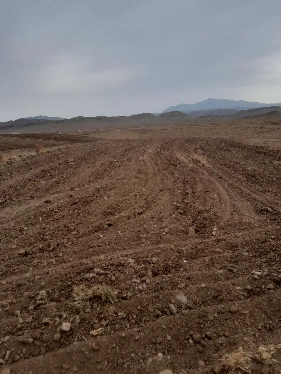 زمین کشاورزی درروستا|فروش دفتر صنعتی، کشاورزی، تجاری|خلجستان, |دیوار