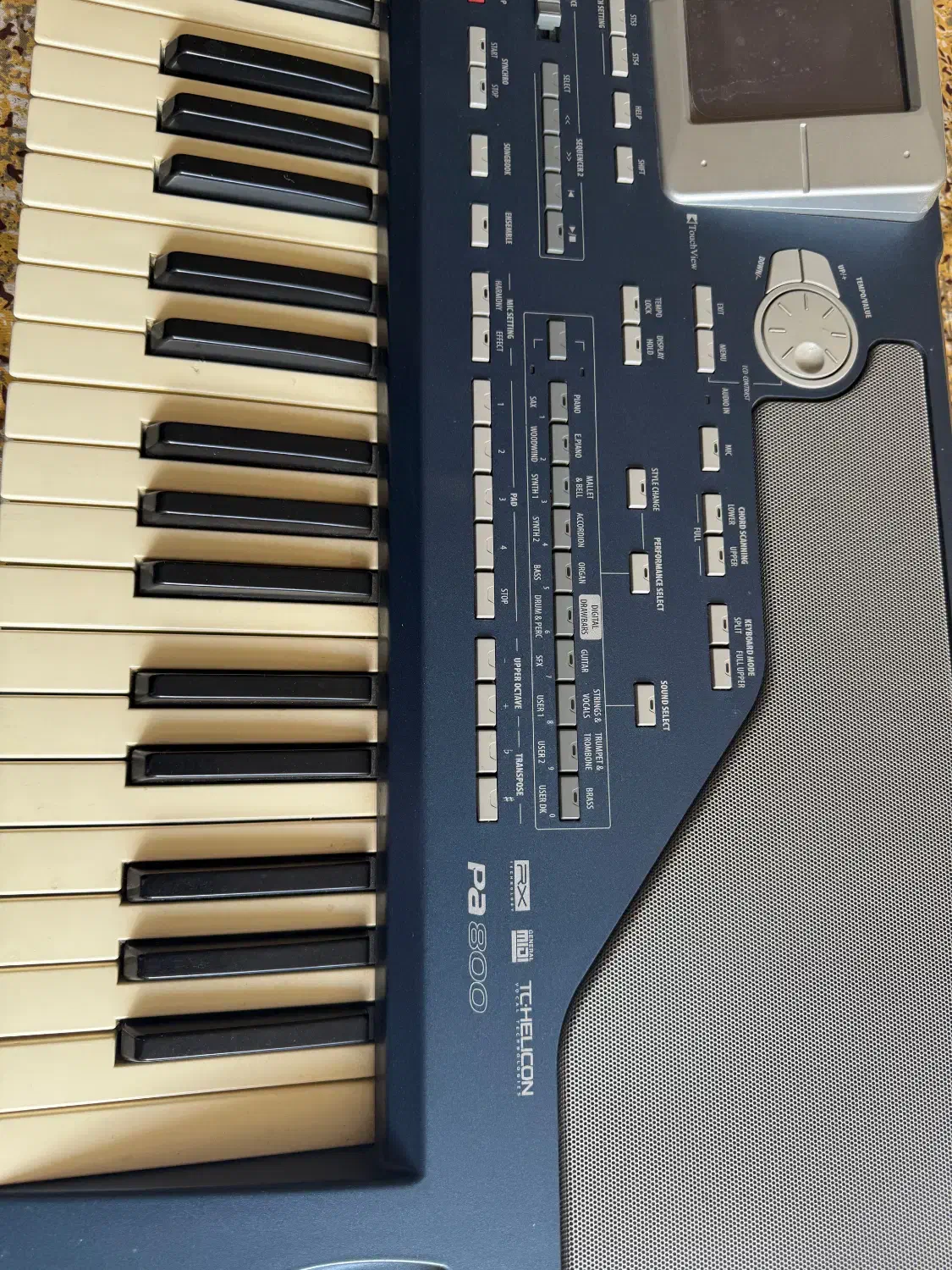 کیبرد korg Pa 800|پیانو، کیبورد، آکاردئون|شیراز, زرگری|دیوار