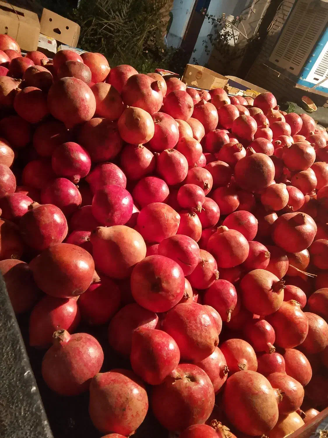 انارمیخوش 4کیلو300|خوردنی و آشامیدنی|فهرج, |دیوار