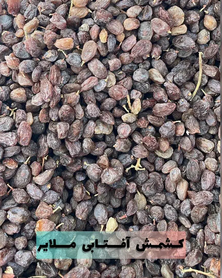 کشمش کاملا آفتابی و ارگانیک|خوردنی و آشامیدنی|تهران, شوش (باغ آذری)|دیوار