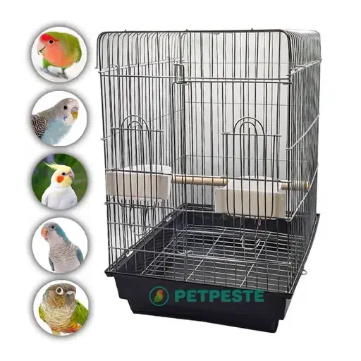 قفس|لوازم جانبی حیوانات|کنگاور, |دیوار