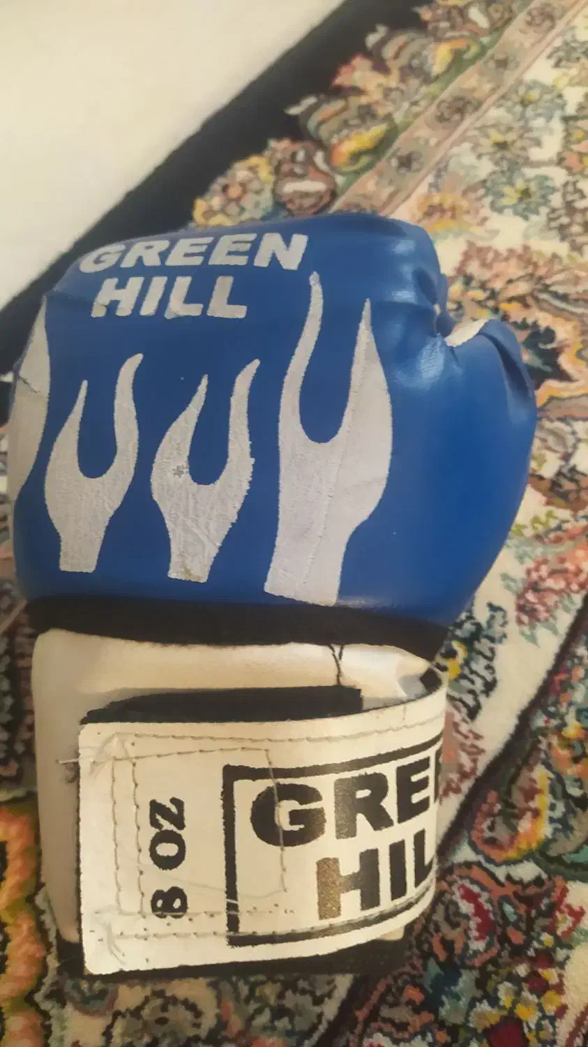 دستکش بوکس|تجهیزات ورزشی|همدان, |دیوار