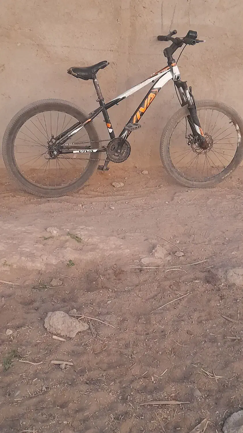 دوچرخه|دوچرخه، اسکیت، اسکوتر|گنبکی, |دیوار