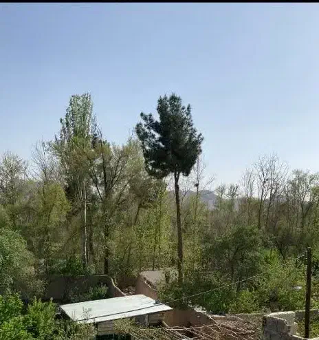 ساختمان نیمه ساز|فروش خانه و ویلا|اصفهان, کارلادان|دیوار