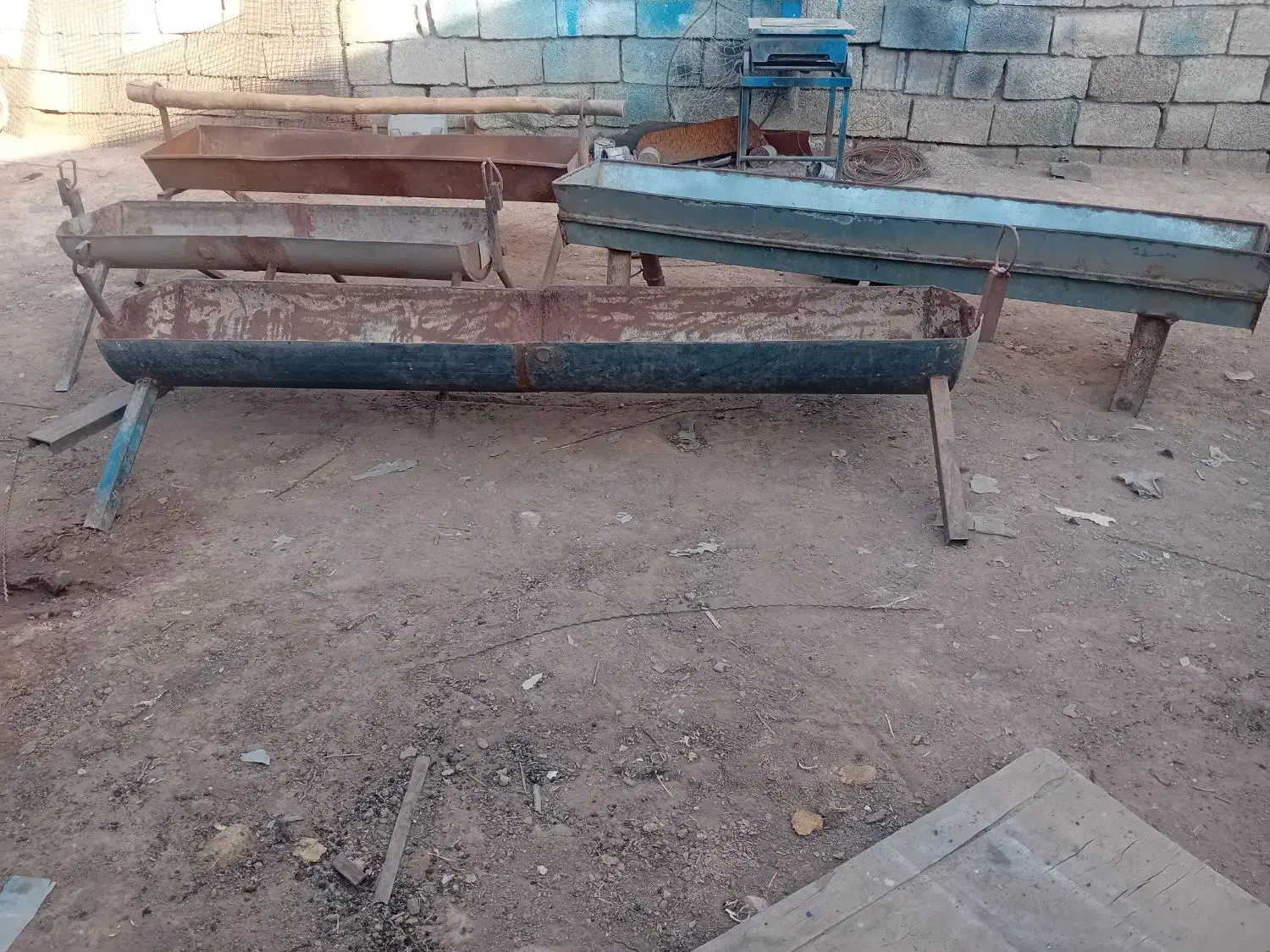 اخر گوسفندی ۴تا|حیوانات مزرعه|شیراز, علی آباد|دیوار