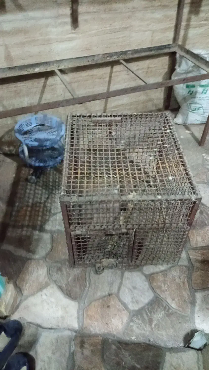 قفس آهنی|لوازم جانبی حیوانات|قم, سید معصوم|دیوار