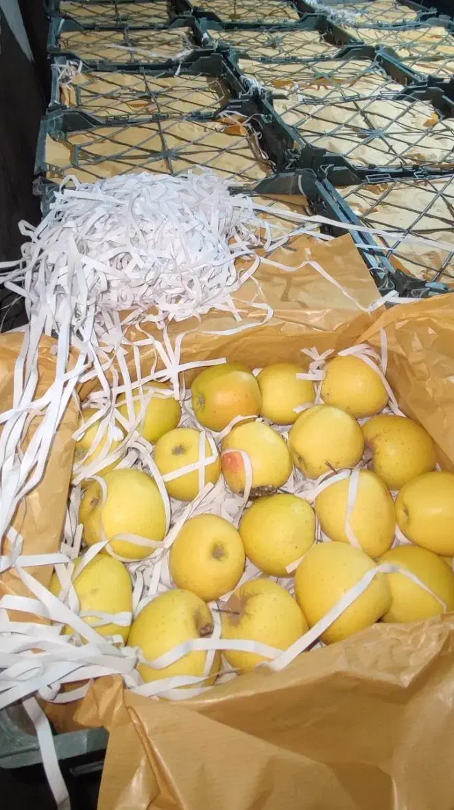 سیب سفید|خوردنی و آشامیدنی|مرند, |دیوار