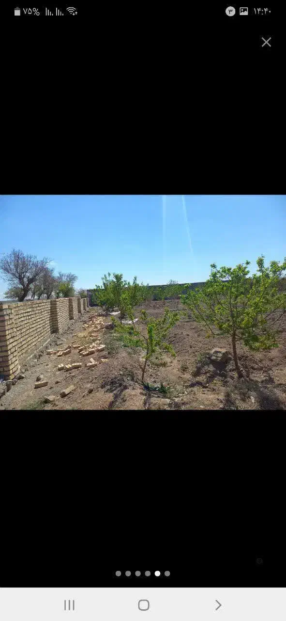 زمین روستای قوزان|فروش زمین و ملک کلنگی|تربت‌حیدریه, پائین ولایت|دیوار