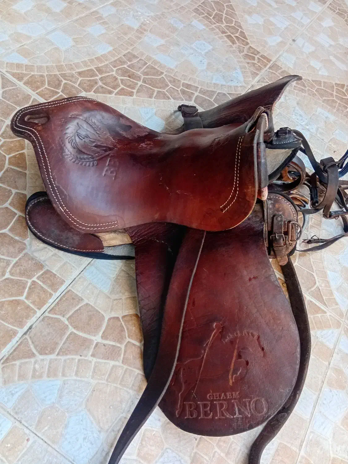 زین اسب|اسب و تجهیزات اسب‌سواری|بوشهر, |دیوار