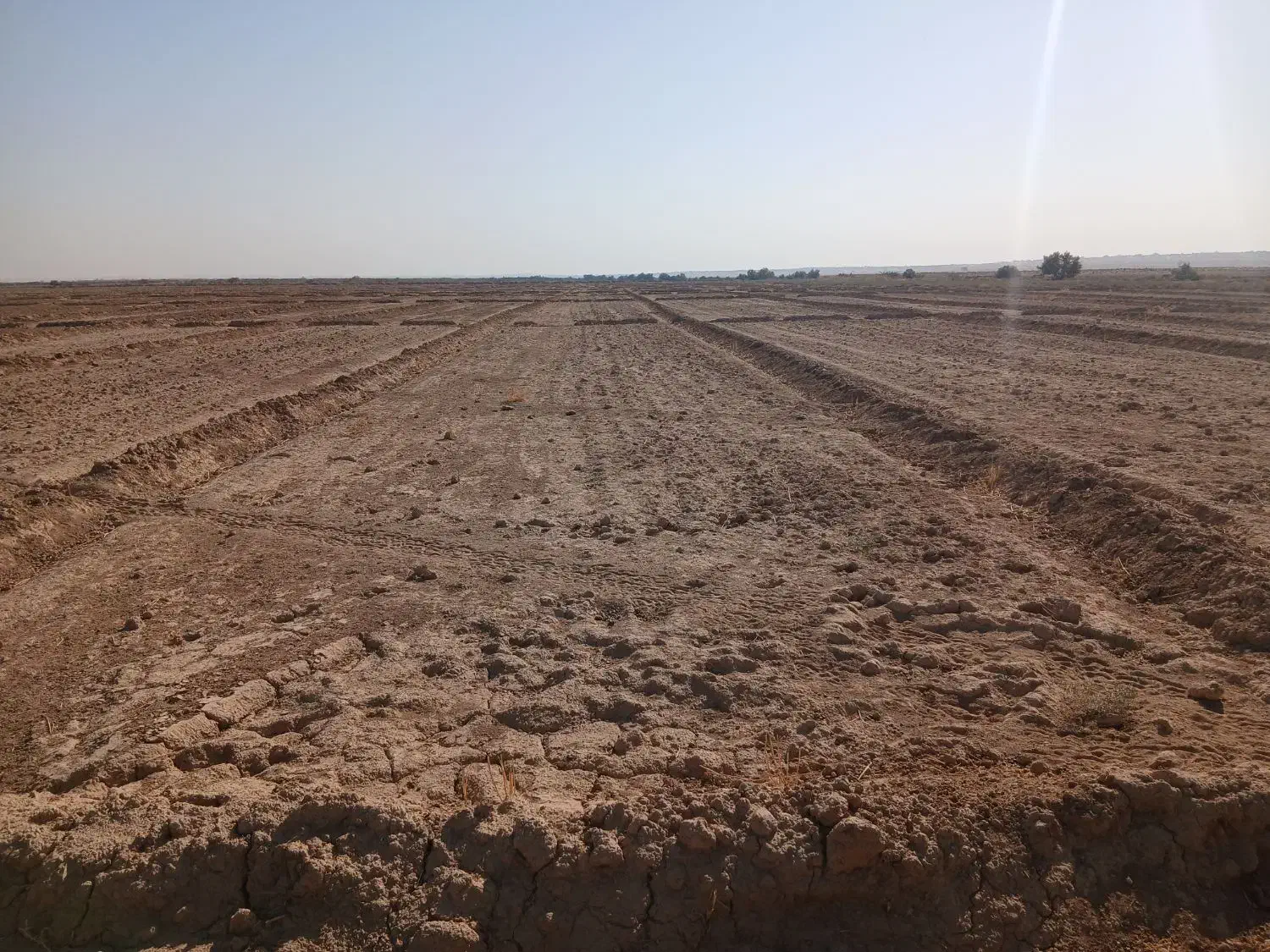 ۲۰ هکتار زمین کشاورزی آبیاری برای فروش|فروش دفتر صنعتی، کشاورزی، تجاری|اهواز, کمپلو جنوبی|دیوار