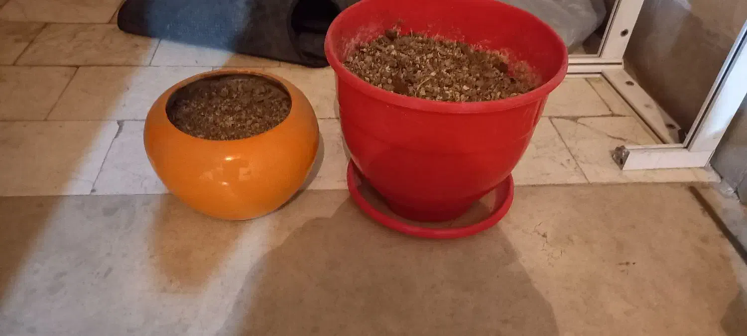 پلاستیک جات|ظروف نگهدارنده، پلاستیکی، یکبارمصرف|مشهد, رستگار|دیوار