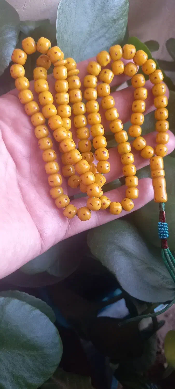 تسبیح سندلوس المان|بدلیجات|آسارا, |دیوار