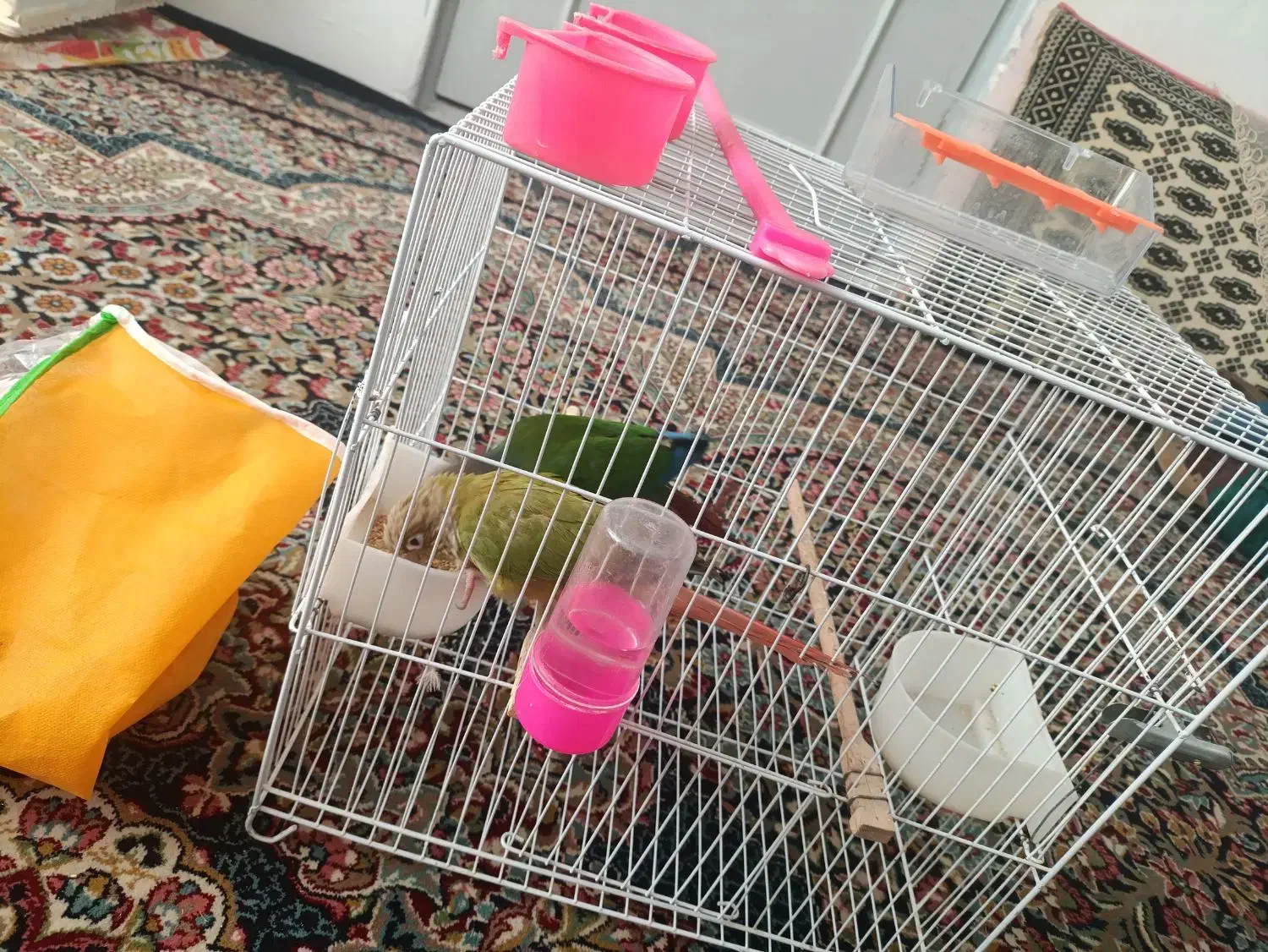 لانه|لوازم جانبی حیوانات|مشهد, انقلاب|دیوار