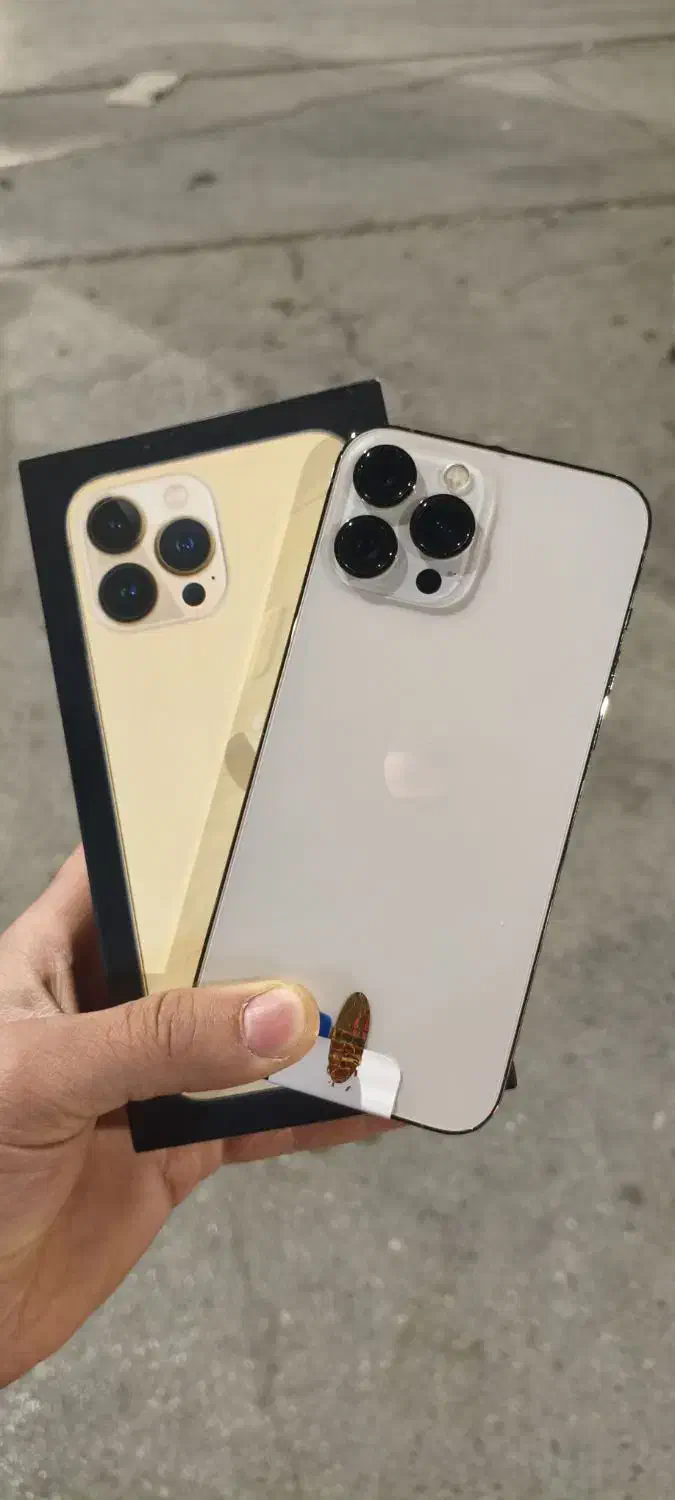 فروش iPhone 13PRO MAX گلد ب صورت عمده|موبایل|دهدشت, |دیوار