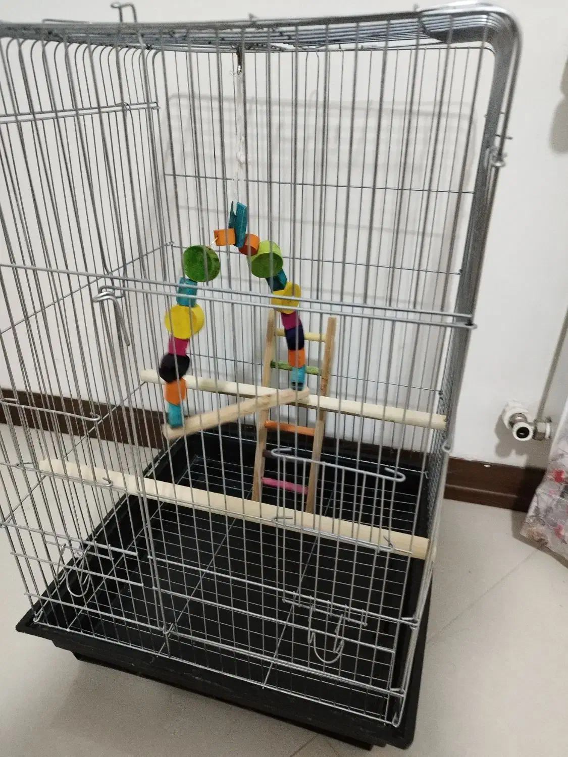 قفس پرنده|لوازم جانبی حیوانات|پاکدشت, پاکدشت (مامازند)|دیوار