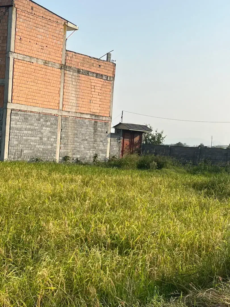 زمین مسکونی 220 متری/سنددار/بخر بساز با استعلام|فروش زمین و ملک کلنگی|بابکان, |دیوار