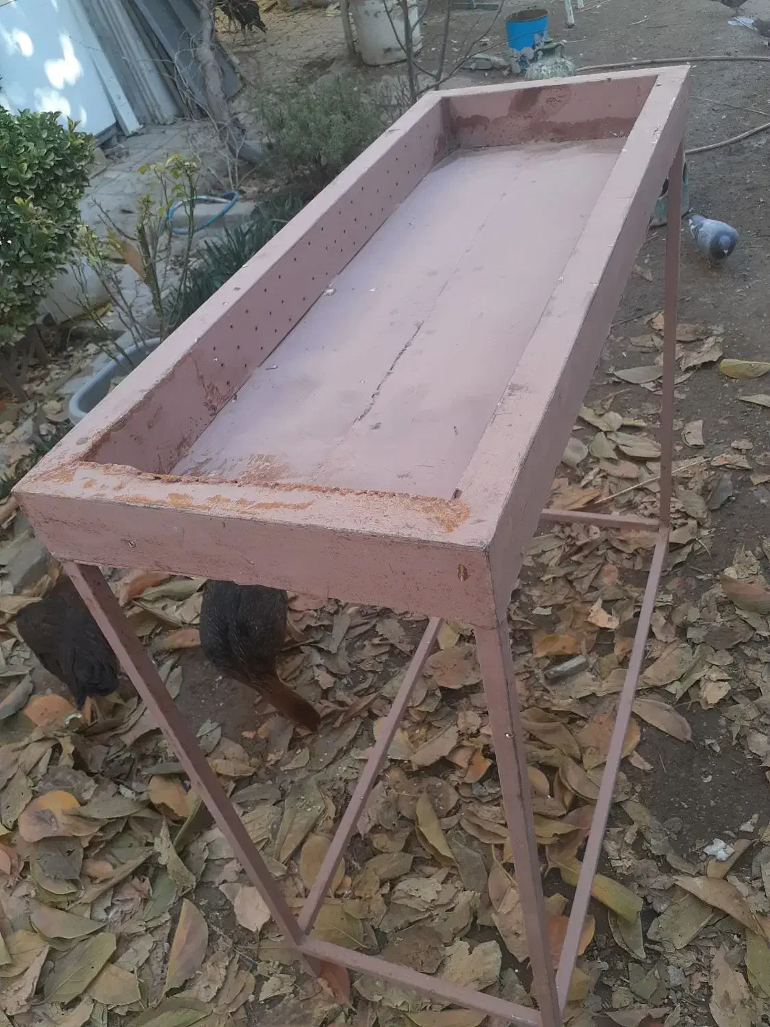 منقل بزرگ کبابی|اجاق گاز و لوازم برقی پختوپز|کرمانشاه, |دیوار