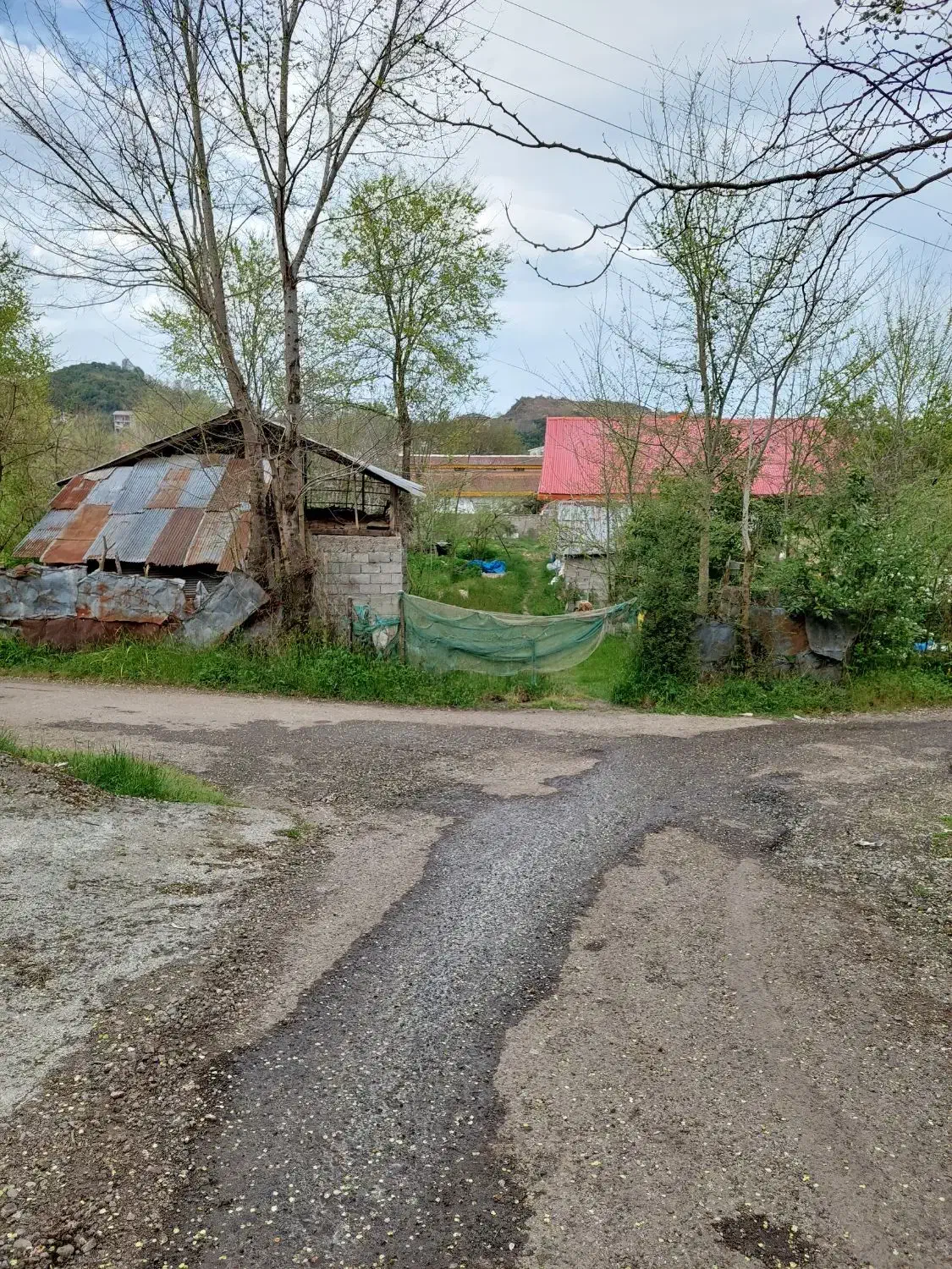 زمین مسکونی سند تک برگ فوری|فروش زمین و ملک کلنگی|کرج, شهرک دریا|دیوار