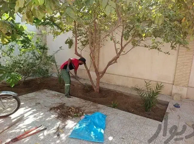 باغبانی و هرس درخت|خدمات باغبانی و درختکاری|بندرعباس, |دیوار