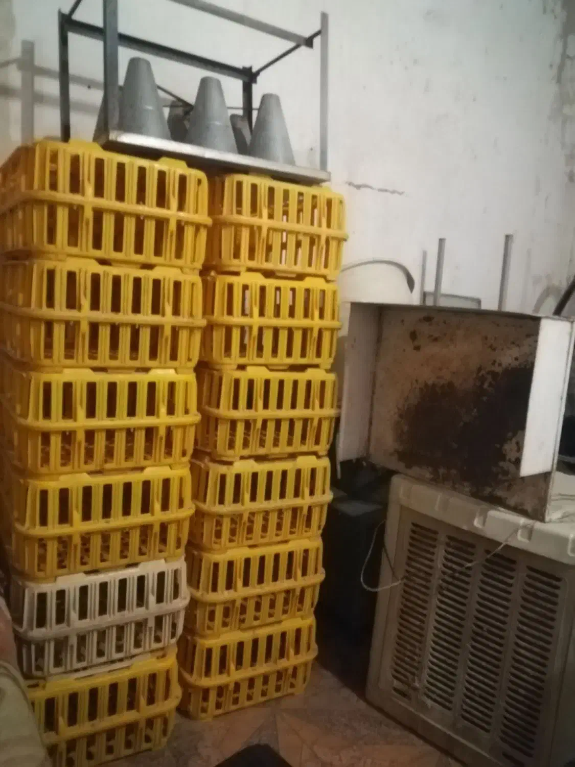 وسایل مرغ فروشی|فروشگاه و مغازه|باغ ملک, |دیوار