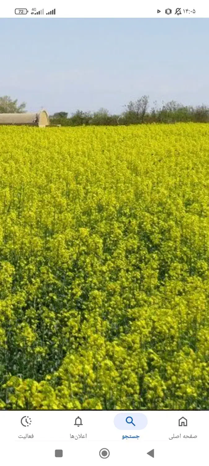 اجاره زمین کشاورزی|فروش دفتر صنعتی، کشاورزی، تجاری|سیمین شهر, |دیوار