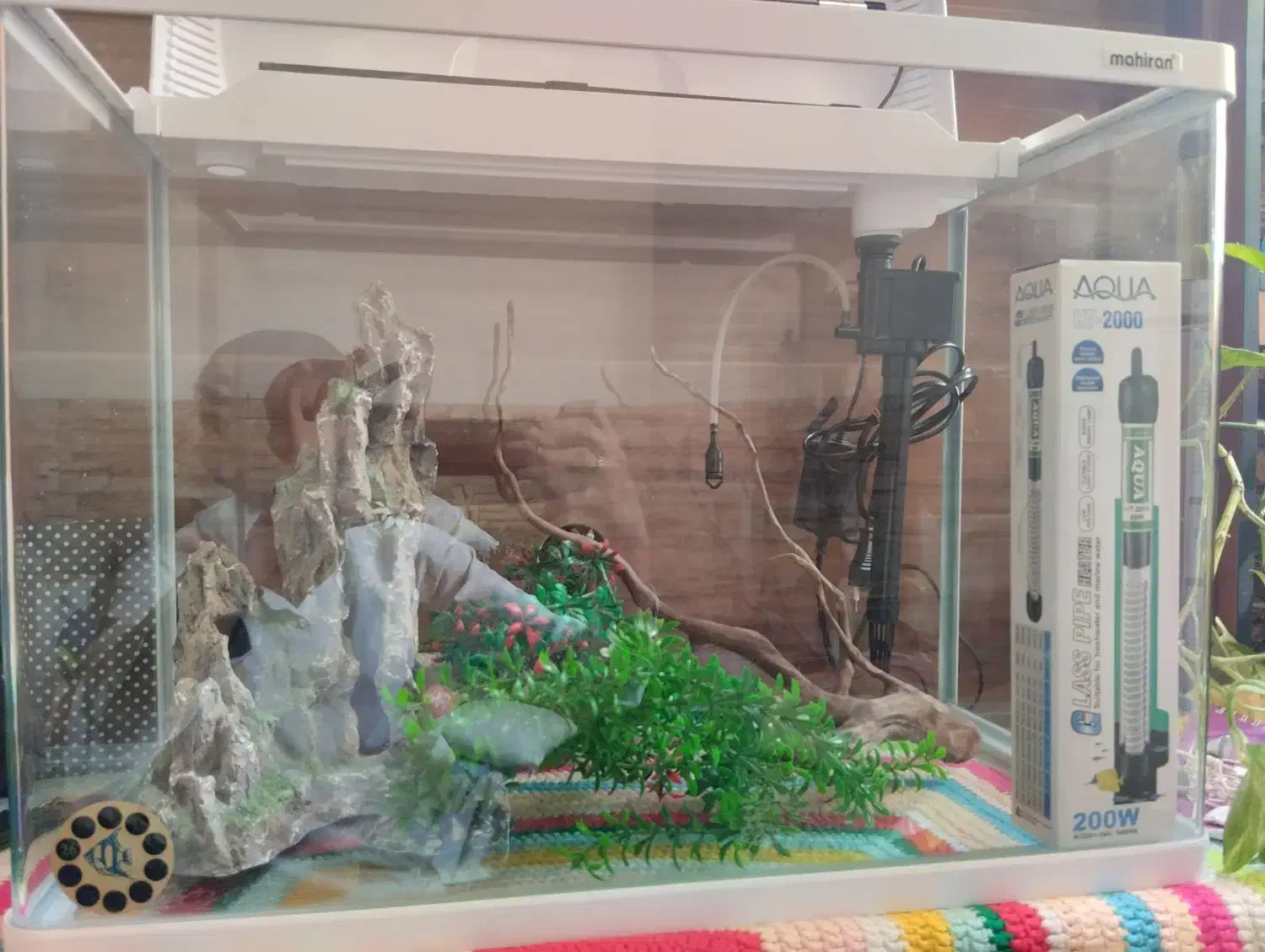 آکواریوم به همراه تمام لوازم|ماهی|یزد, |دیوار